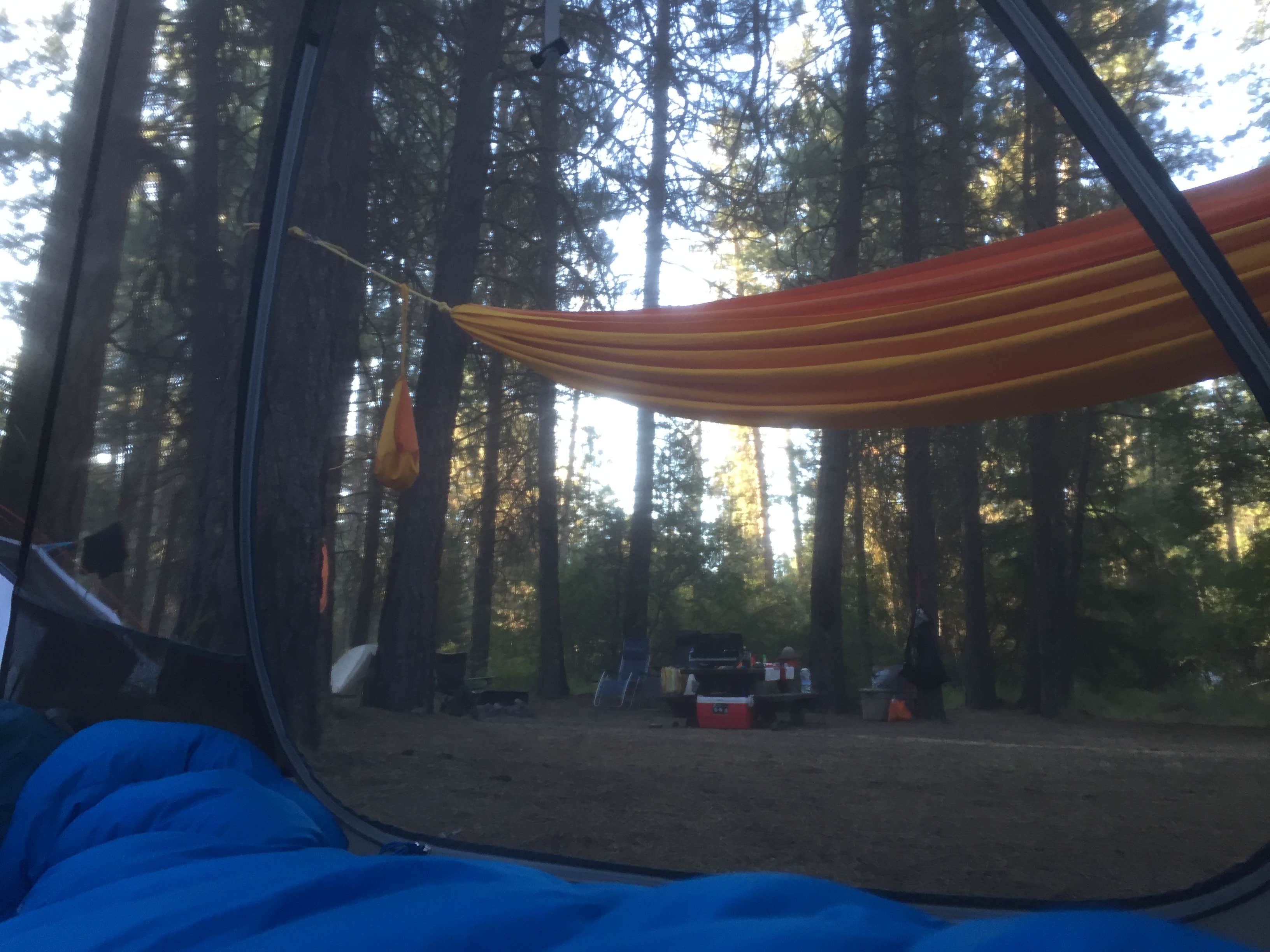Camper submitted image from Riverside Campground - 4