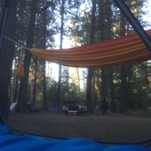 Review photo of Riverside Campground by Stephanie Z., August 23, 2016