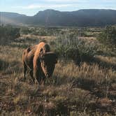 Review photo of South Prong Primitive Camping Area — Caprock Canyons State Park by Jordan E., November 5, 2018