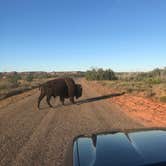 Review photo of South Prong Primitive Camping Area — Caprock Canyons State Park by Jordan E., November 5, 2018