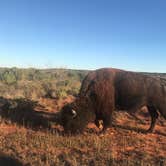 Review photo of South Prong Primitive Camping Area — Caprock Canyons State Park by Jordan E., November 5, 2018