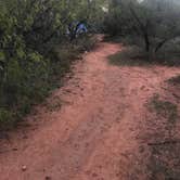 Review photo of South Prong Primitive Camping Area — Caprock Canyons State Park by Jordan E., November 5, 2018