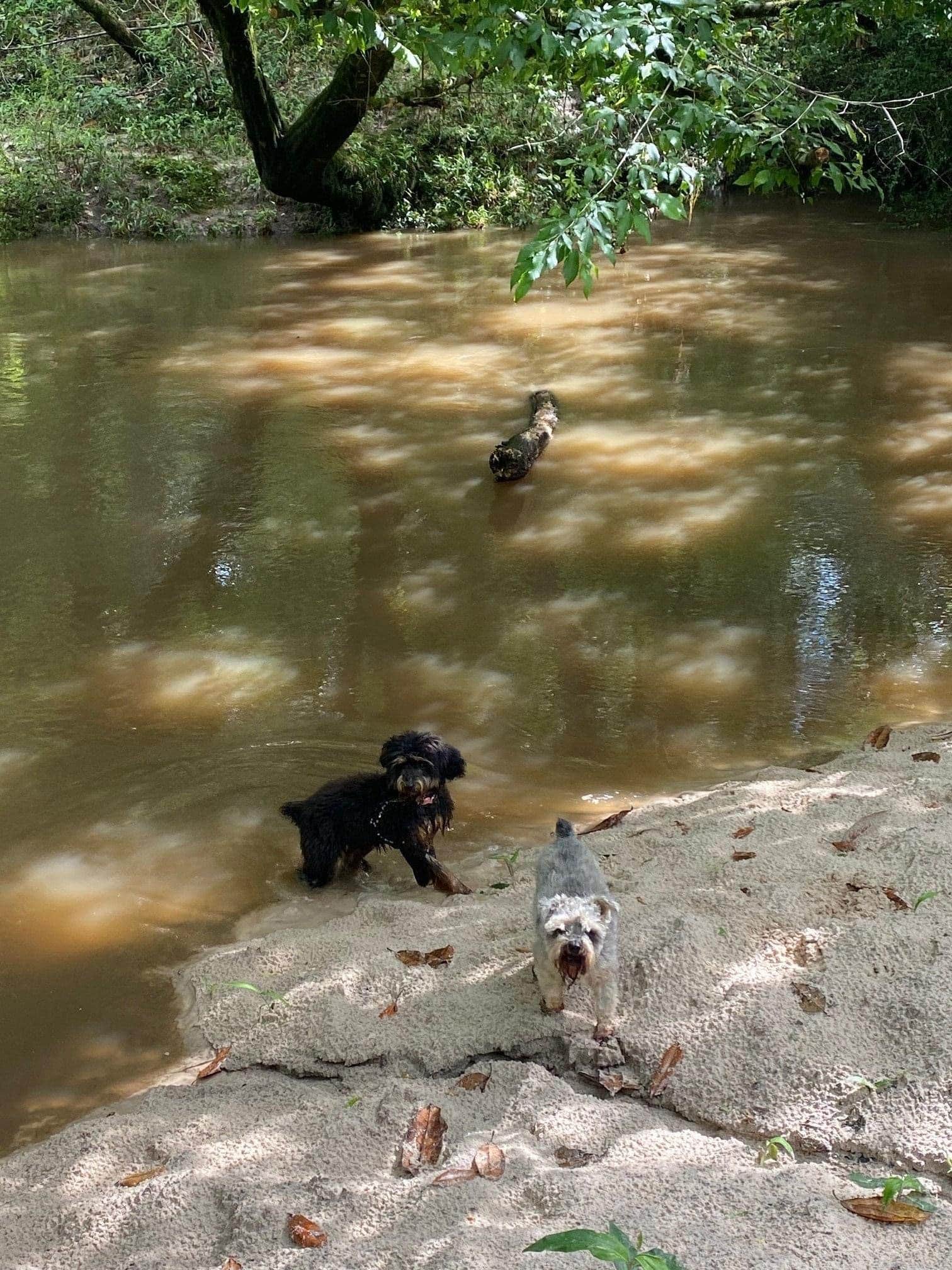 Camper-submitted photo at Bayou River Event Center & Campground near Franklinton, LA