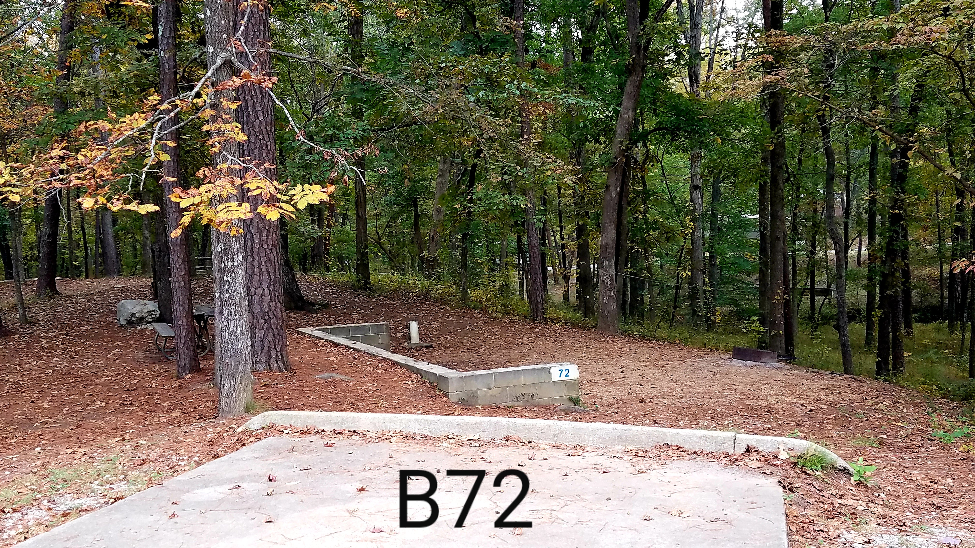 The tent area in the woods is typical of the tent sites.