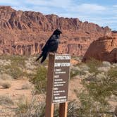 Review photo of Arch Rock Campground — Valley of Fire State Park by Denise G., January 11, 2024