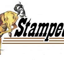 Camper-submitted photo at Stampede RV Park near St. David, AZ