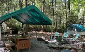 The Dyrt's photo at Tentrr Signature Site - Retreat on Bear Creek near Albrightsville, PA