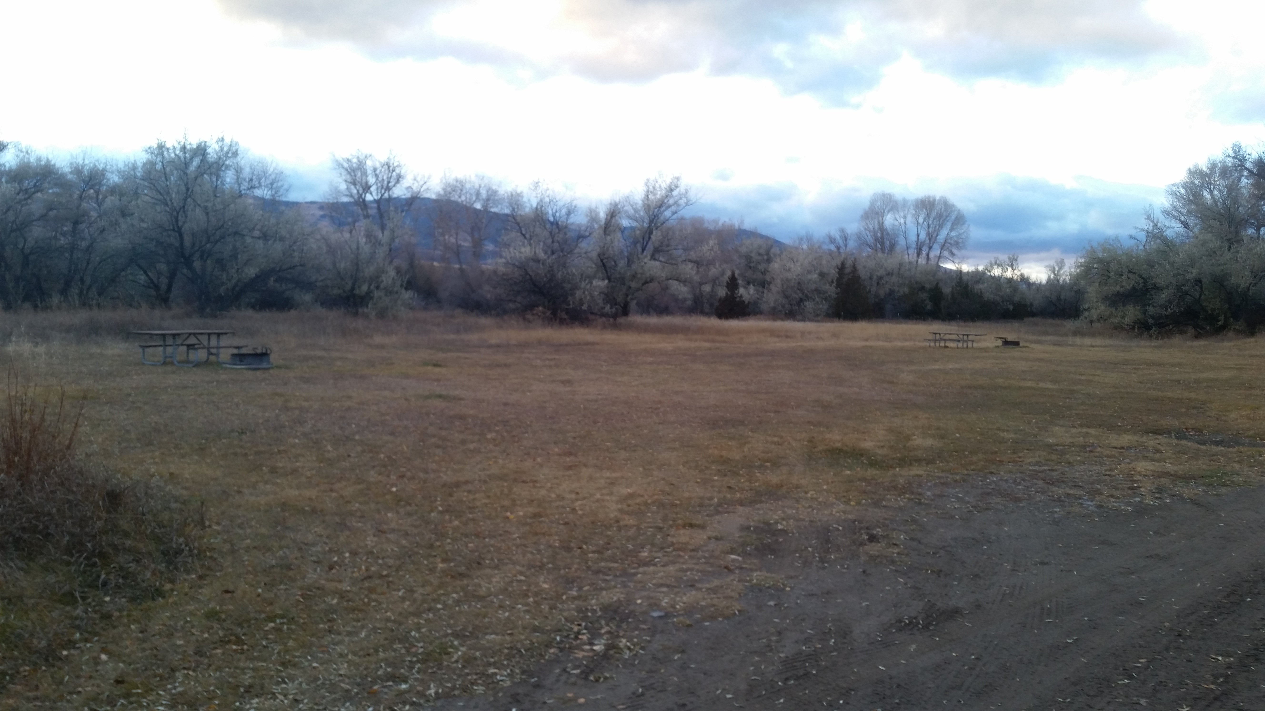 Camper submitted image from Cottonwood Campground - 4