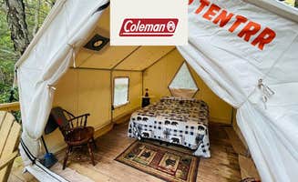 The Dyrt's photo at Tentrr Signature Site - Bear Creek Hideaway - Coleman Outfitted Site near Albrightsville, PA