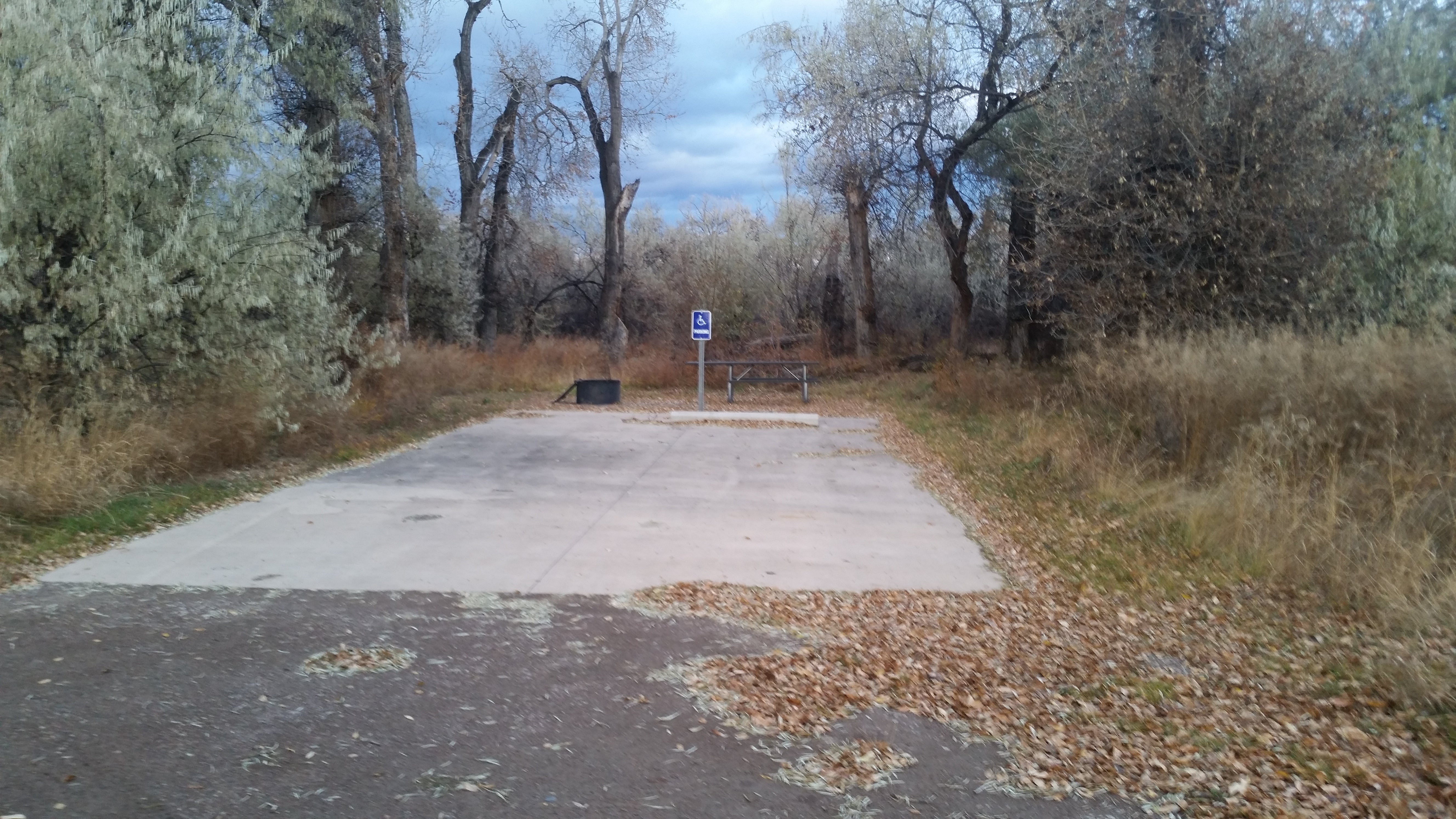 Camper submitted image from Cottonwood Campground - 2