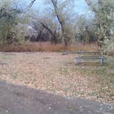 Review photo of Cottonwood Campground by Dexter I., November 5, 2018