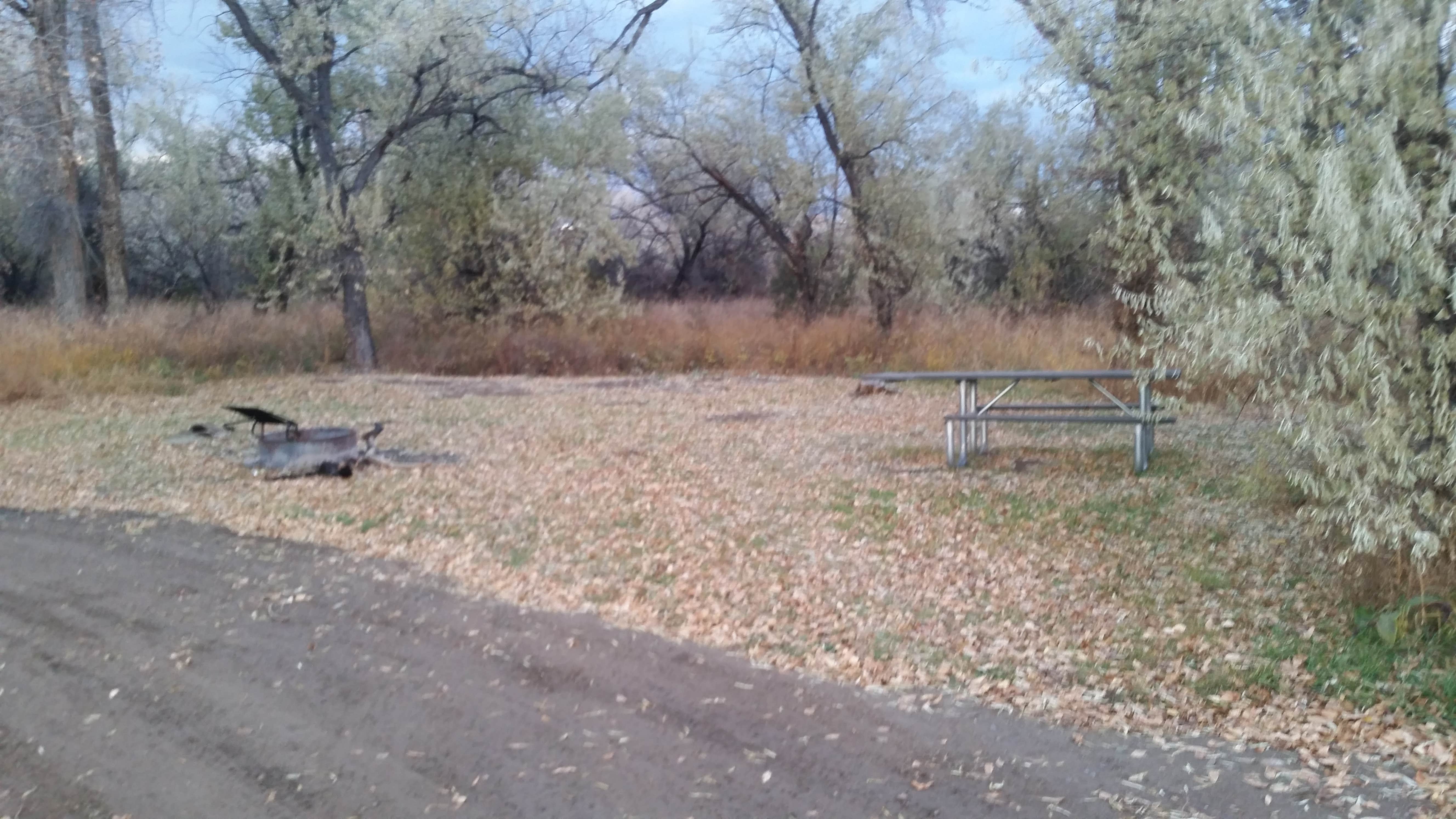 Camper submitted image from Cottonwood Campground - 5