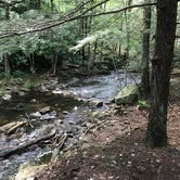 Review photo of Hickory Run State Park Campground by Charlotte T., November 5, 2018