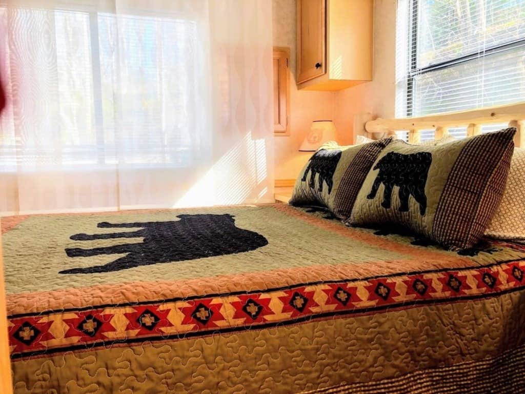 Camper submitted image from Cozy Mountain #615 / 1 Bdr Cabin - 1