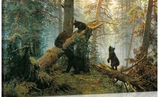 The Dyrt's photo of camping with pets at Cozy Mountain #615 / 1 Bdr Cabin near Great Smoky Mountains National Park