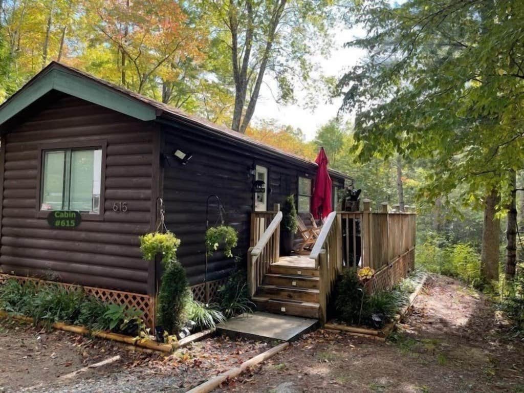 The Dyrt's photo of a cabin at Cozy Mountain #615 / 1 Bdr Cabin near Cullowhee, NC