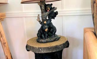 The Dyrt's photo of camping with pets at Mountain View #580 near Cherokee, NC