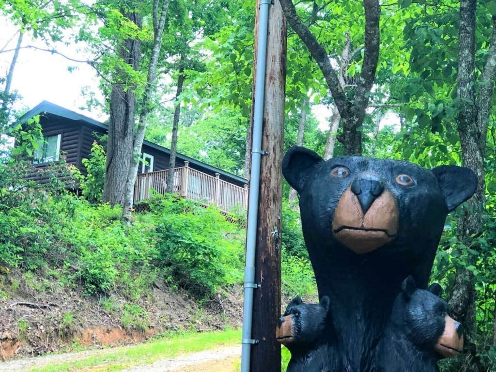 The Dyrt's photo of a cabin at Mountain View #580 near Cherokee, NC