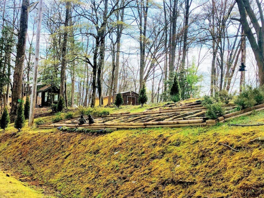 The Dyrt's photo of a cabin at Mountain Views #578 near Cherokee, NC