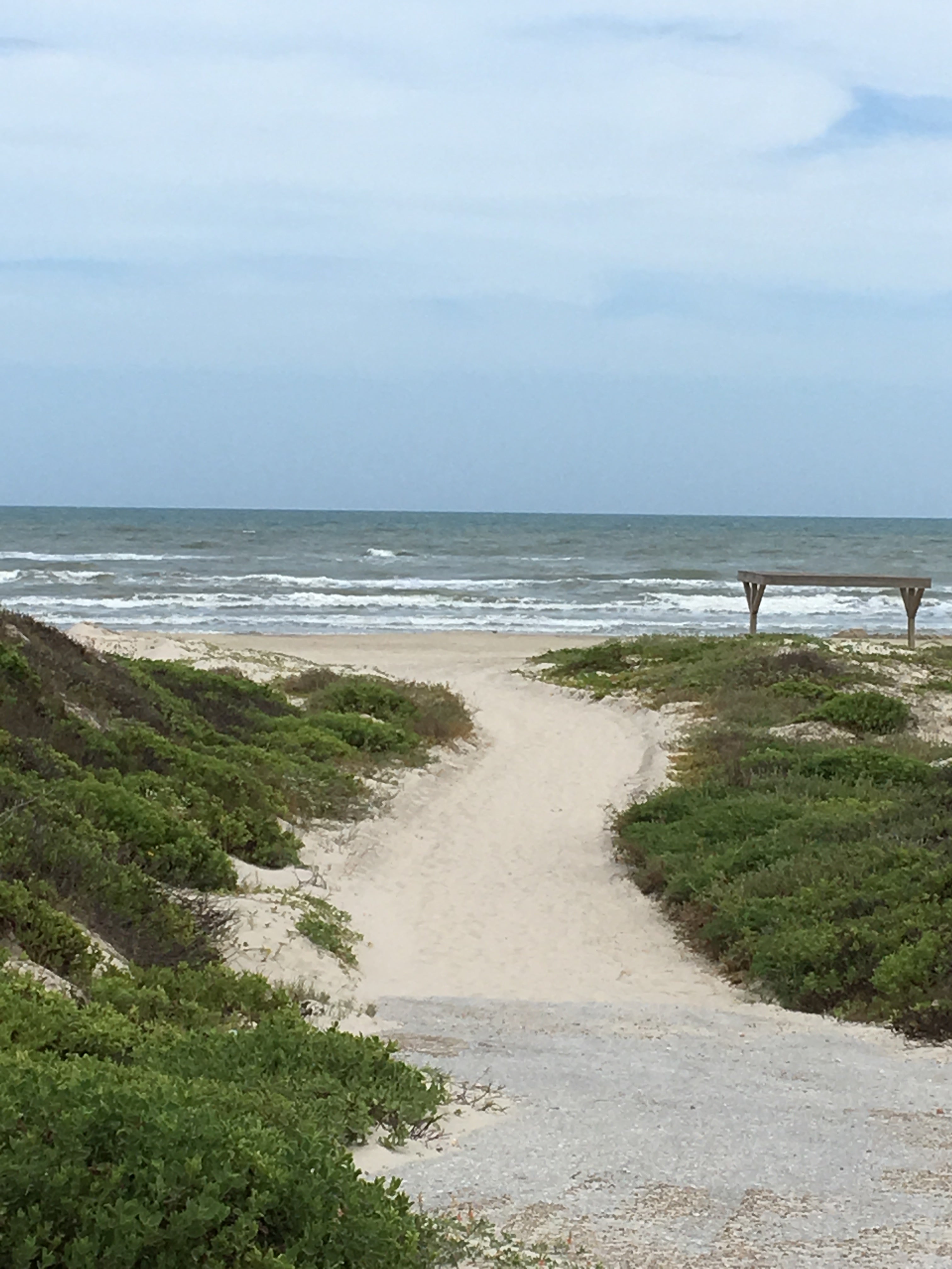 Camper submitted image from Malaquite Campground — Padre Island National Seashore - 3