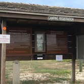 Review photo of Malaquite Campground — Padre Island National Seashore by Shelly S., August 23, 2016