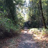 Review photo of Ritchey Creek Campground — Bothe-Napa Valley State Park by Ryan S., November 8, 2018