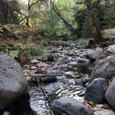 Review photo of Ritchey Creek Campground — Bothe-Napa Valley State Park by Ryan S., November 8, 2018