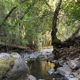 Review photo of Ritchey Creek Campground — Bothe-Napa Valley State Park by Ryan S., November 8, 2018