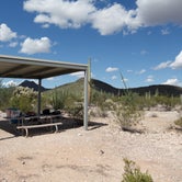 Review photo of Twin Peaks Campground - Organ Pipe Cactus Nat Monument by Patti N., November 8, 2018