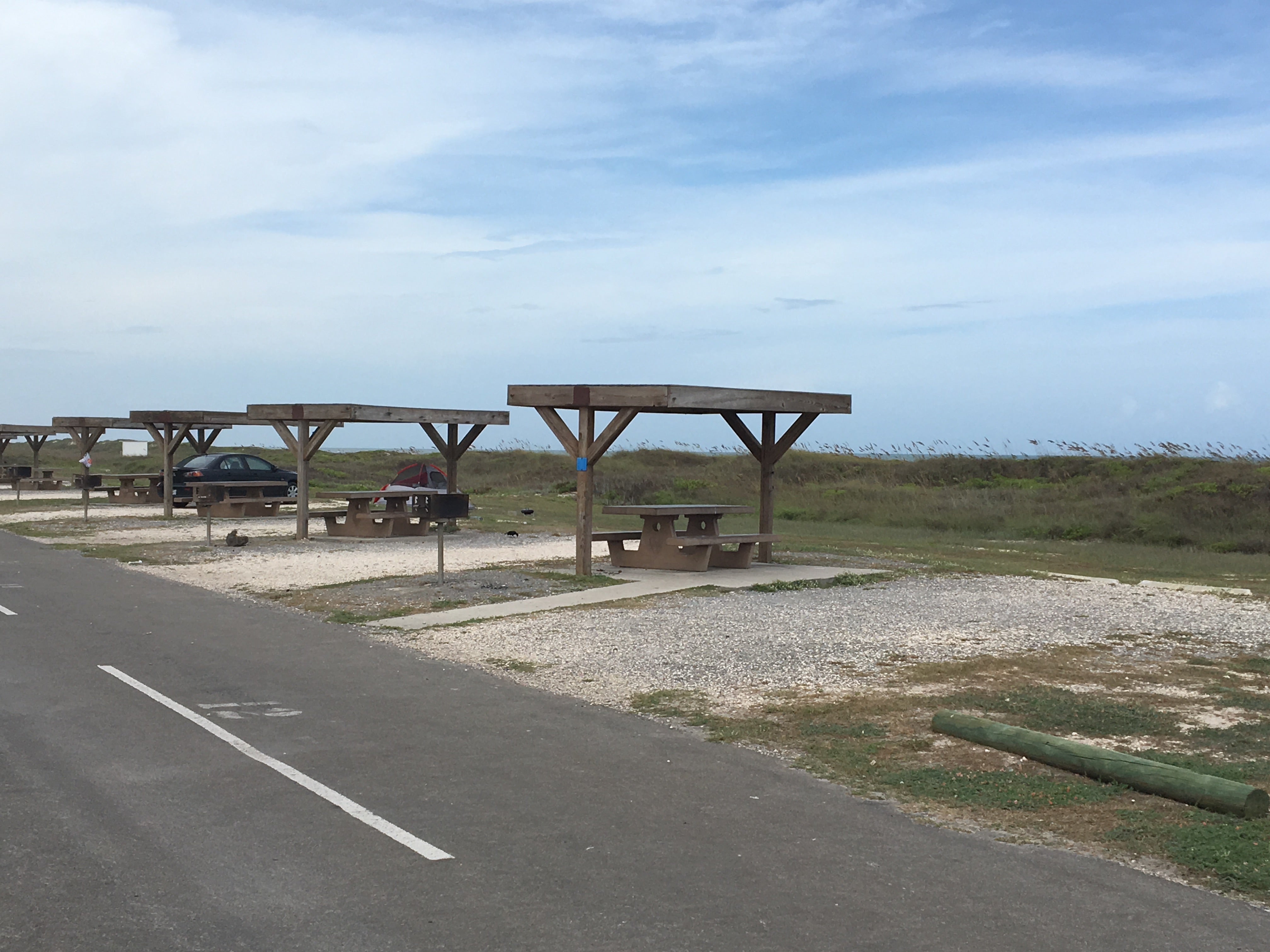 Camper submitted image from Malaquite Campground — Padre Island National Seashore - 4