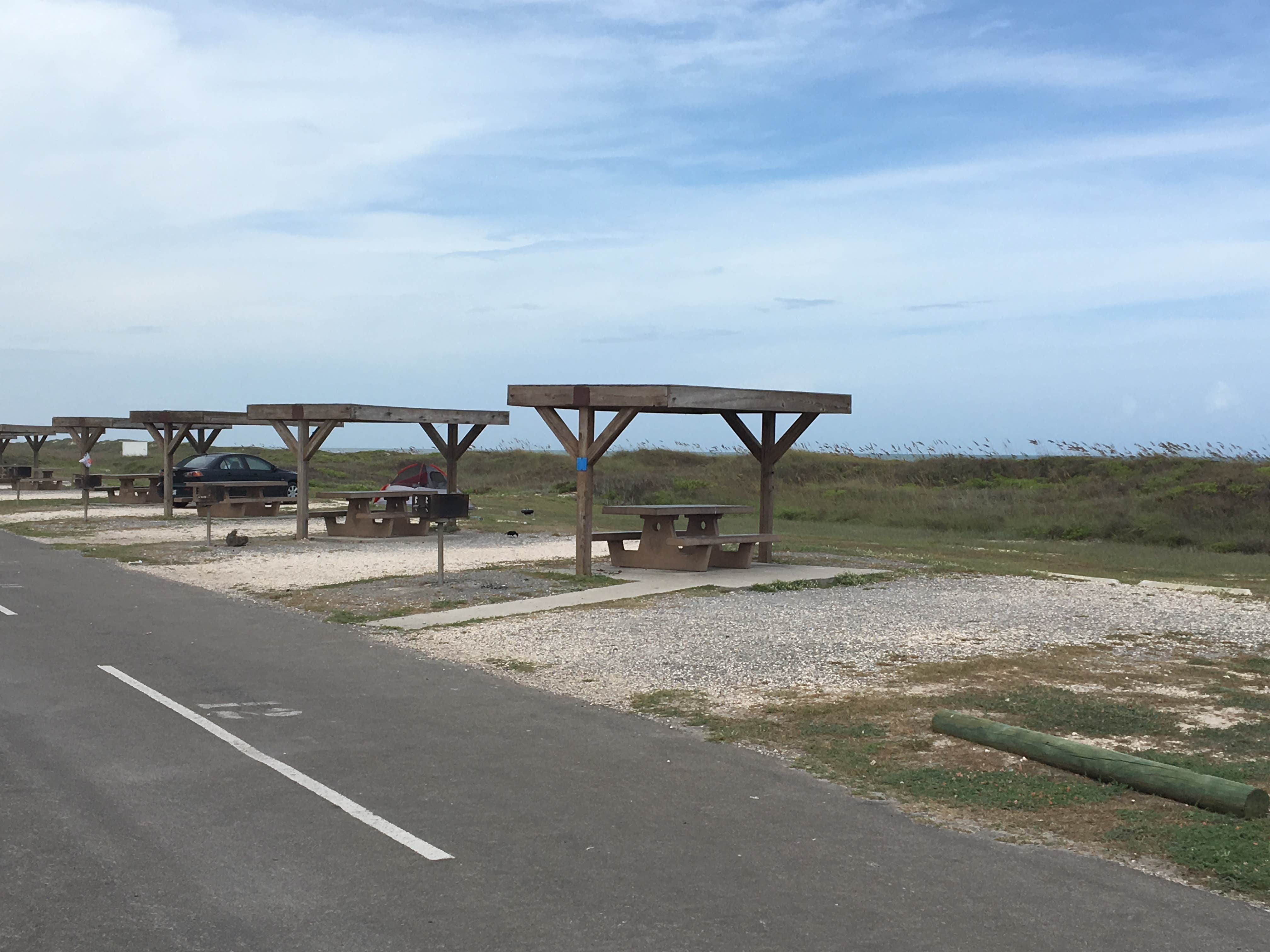 Camper submitted image from Malaquite Campground — Padre Island National Seashore - 5