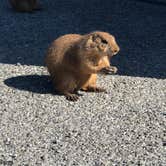 Review photo of Lake Arrowhead State Park Campground by Crystal C., November 8, 2018