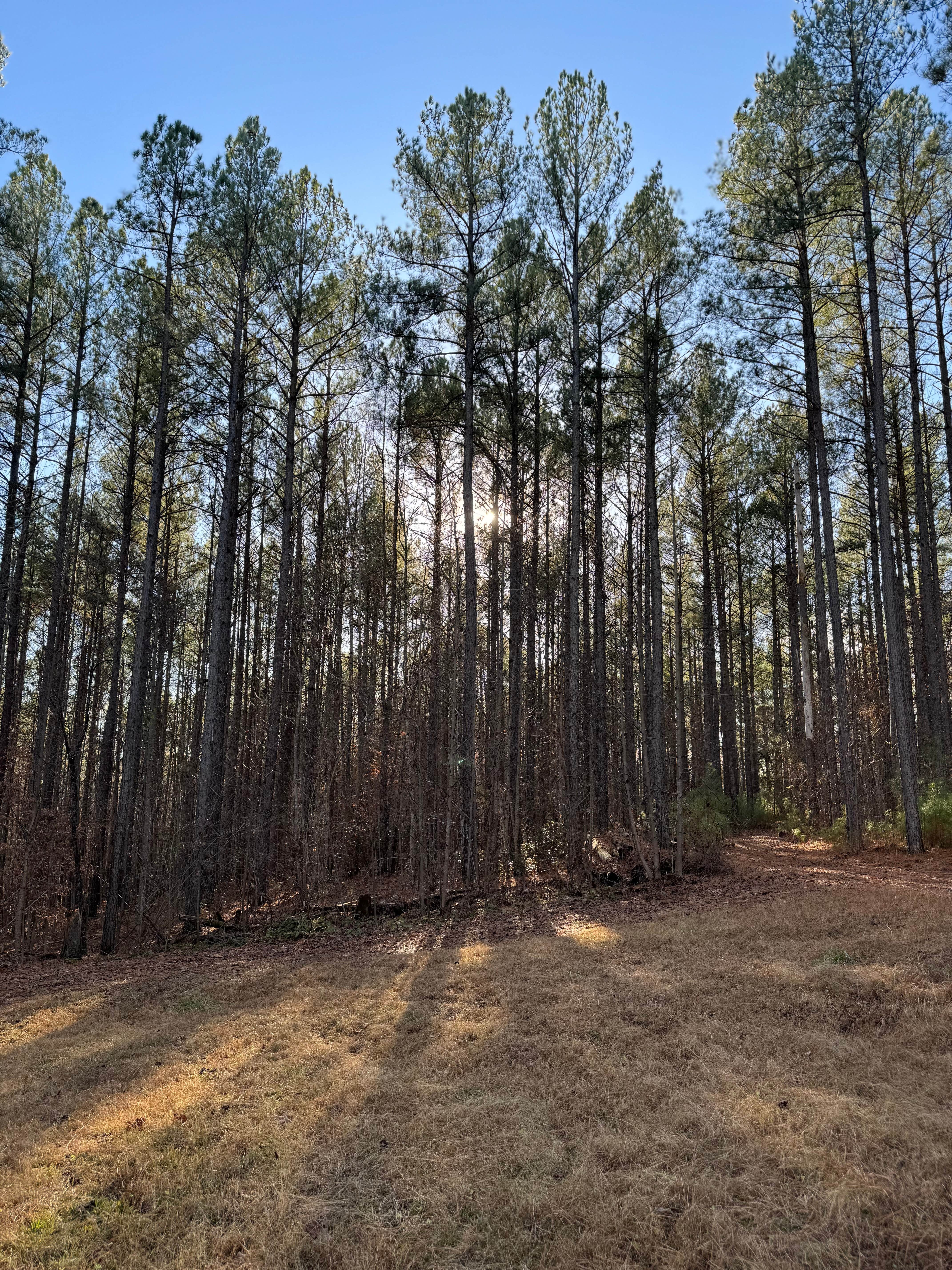 Camper-submitted photo at Pine Creek Tiny House near Wingina, VA