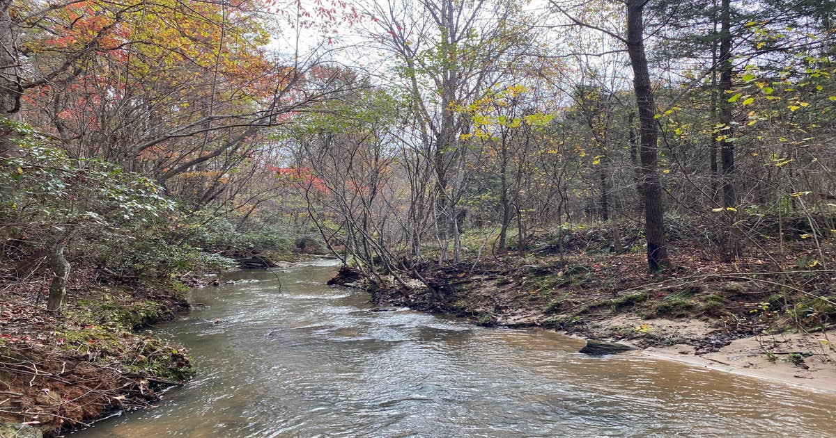 Pine Creek Tiny House Camping Arrington, VA