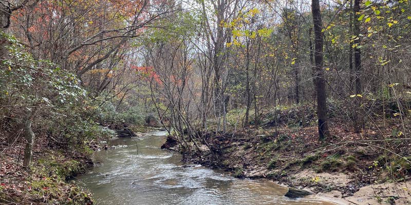 Camper submitted image from Pine Creek Tiny House
