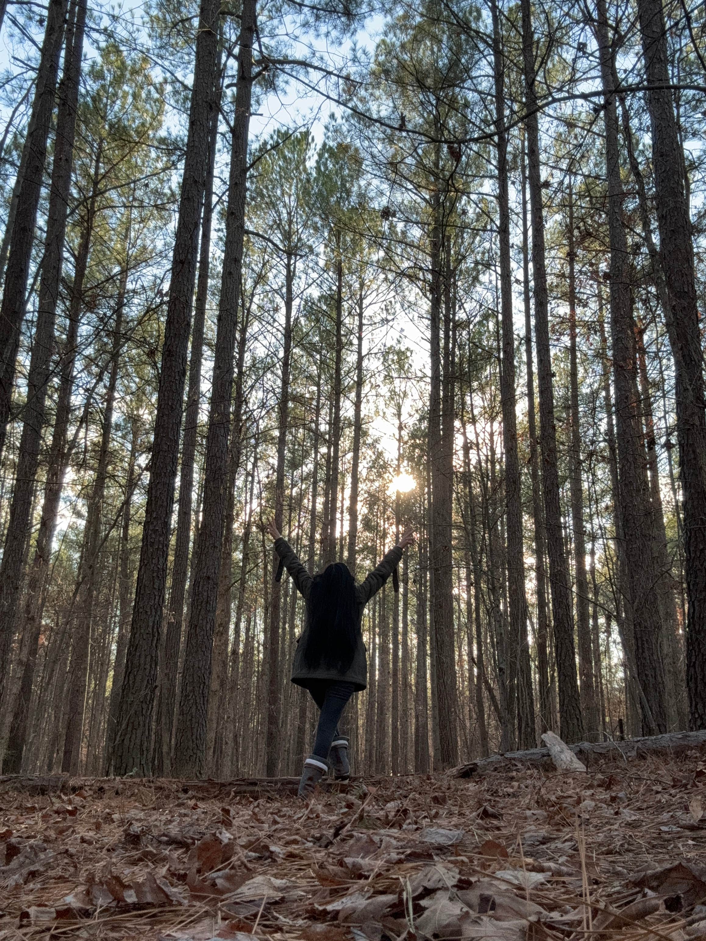 Camper-submitted photo at Pine Creek Tiny House near Wingina, VA
