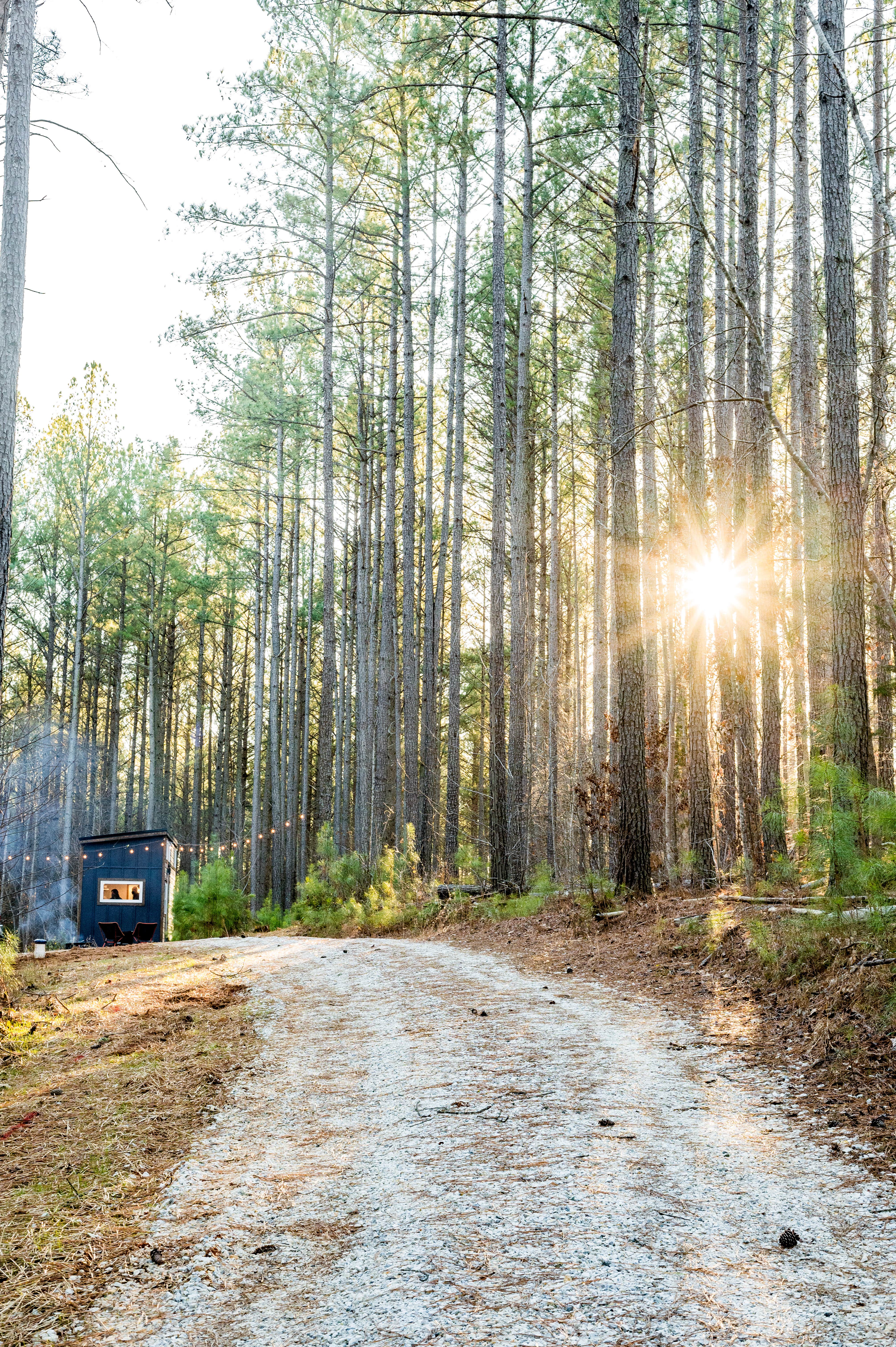 Camper-submitted photo at Pine Creek Tiny House near Wingina, VA