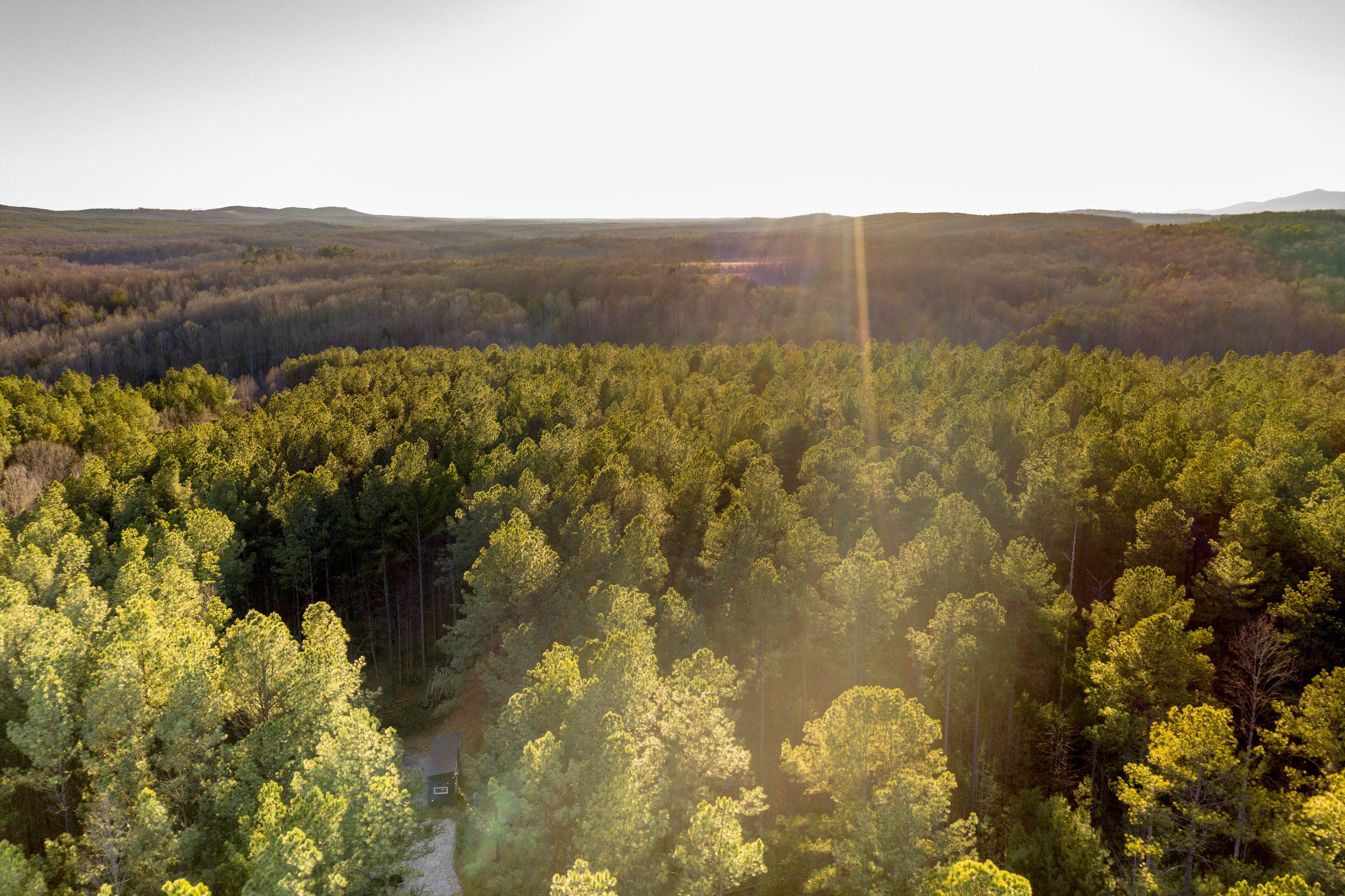 Camper-submitted photo at Pine Creek Tiny House near Greenway, VA