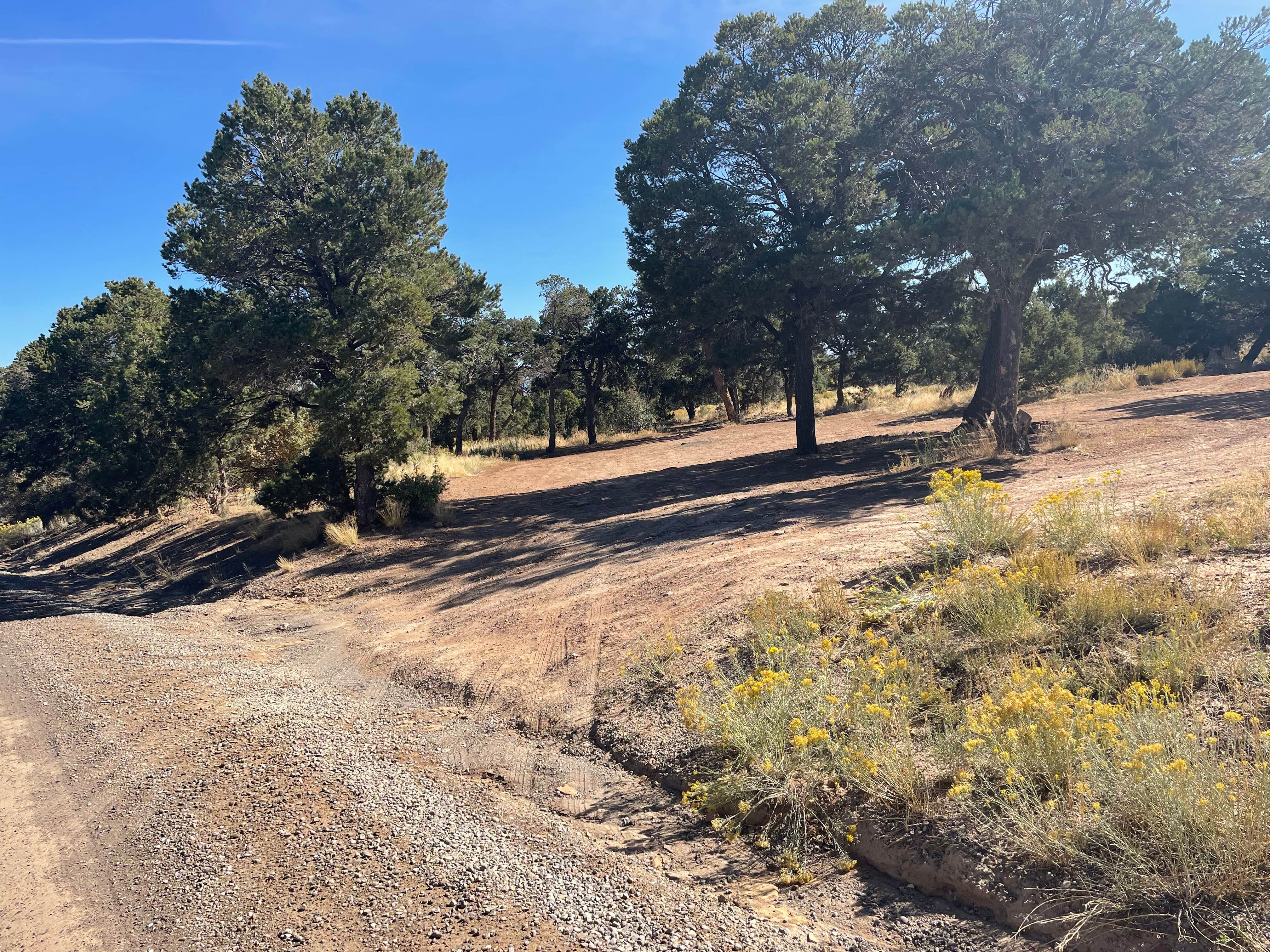 Camper-submitted photo at Springhill Mesa Dispersed Campsite near Montrose, CO