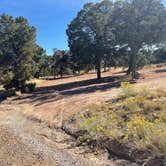 Review photo of Springhill Mesa Dispersed Campsite by Kelly H., January 14, 2024