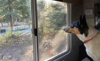 Kelly H.'s photo of camping with pets at Emigrant Springs State Heritage Area near Umatilla National Forest
