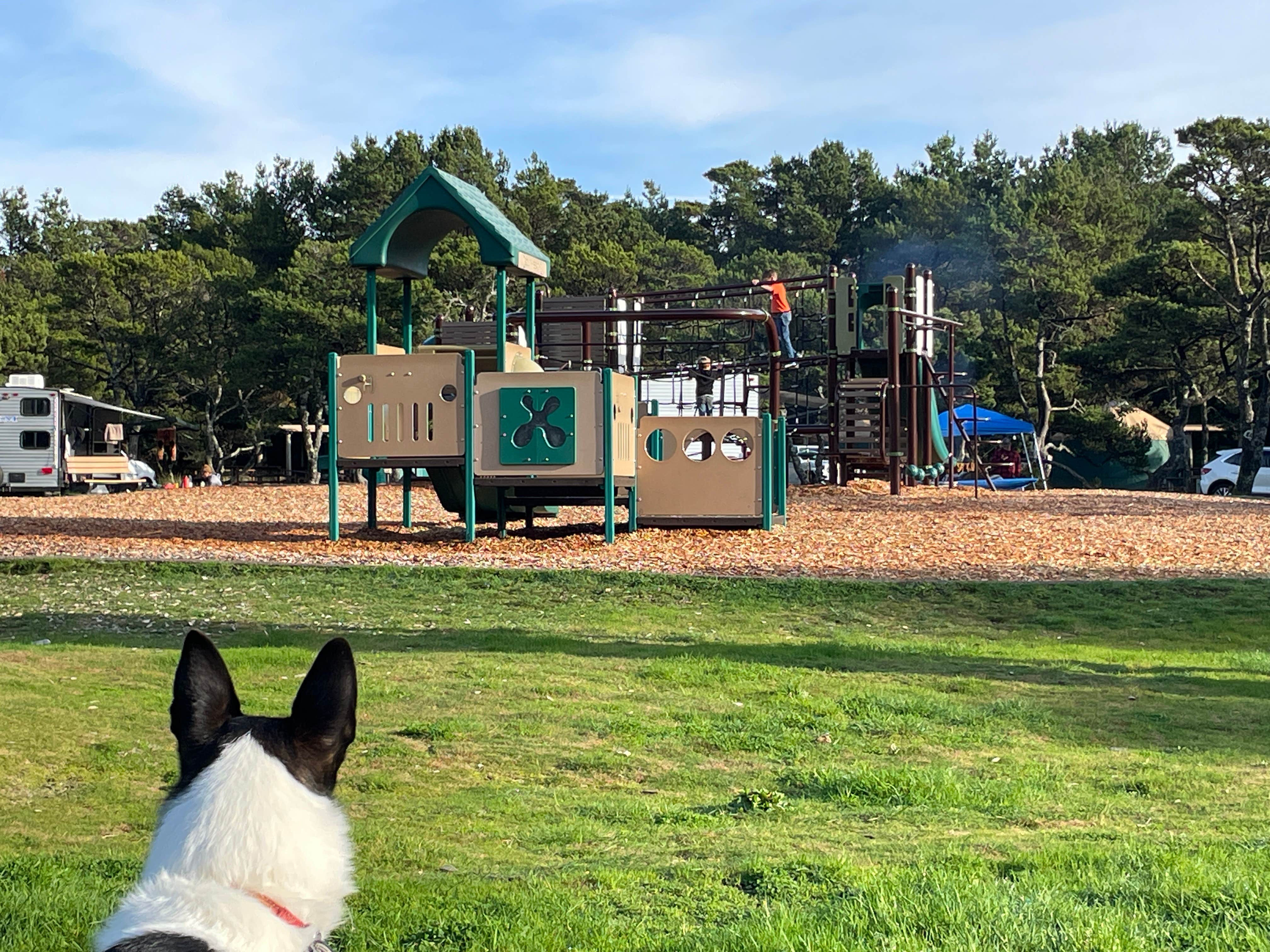 Kelly H.'s photo of camping with pets at South Beach State Park Campground near Depoe Bay, OR