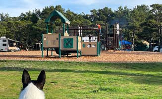 Kelly H.'s photo of camping with pets at South Beach State Park Campground near Newport, OR