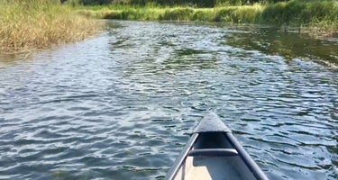 Fox Trap Canoe Campsite