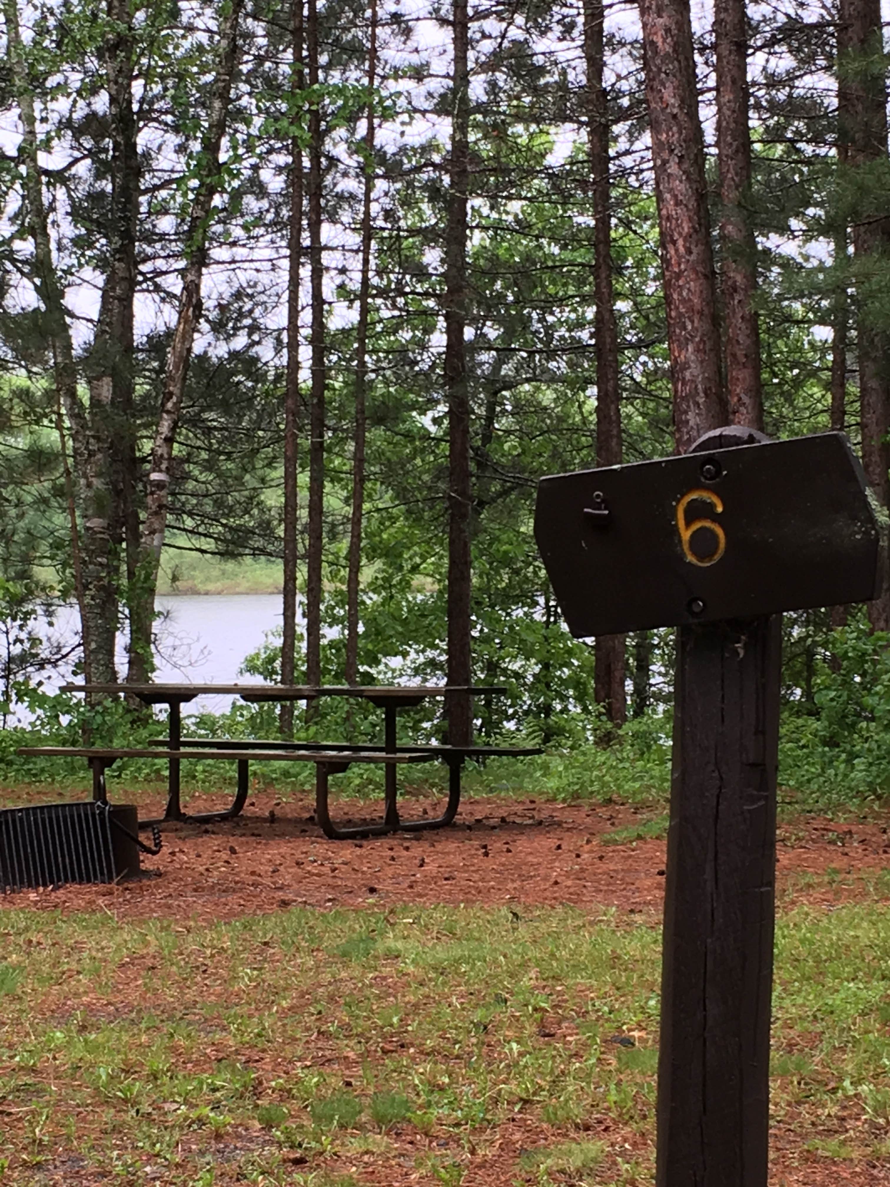 Camper submitted image from George Washington State Forest Owen Lake Campground - 5