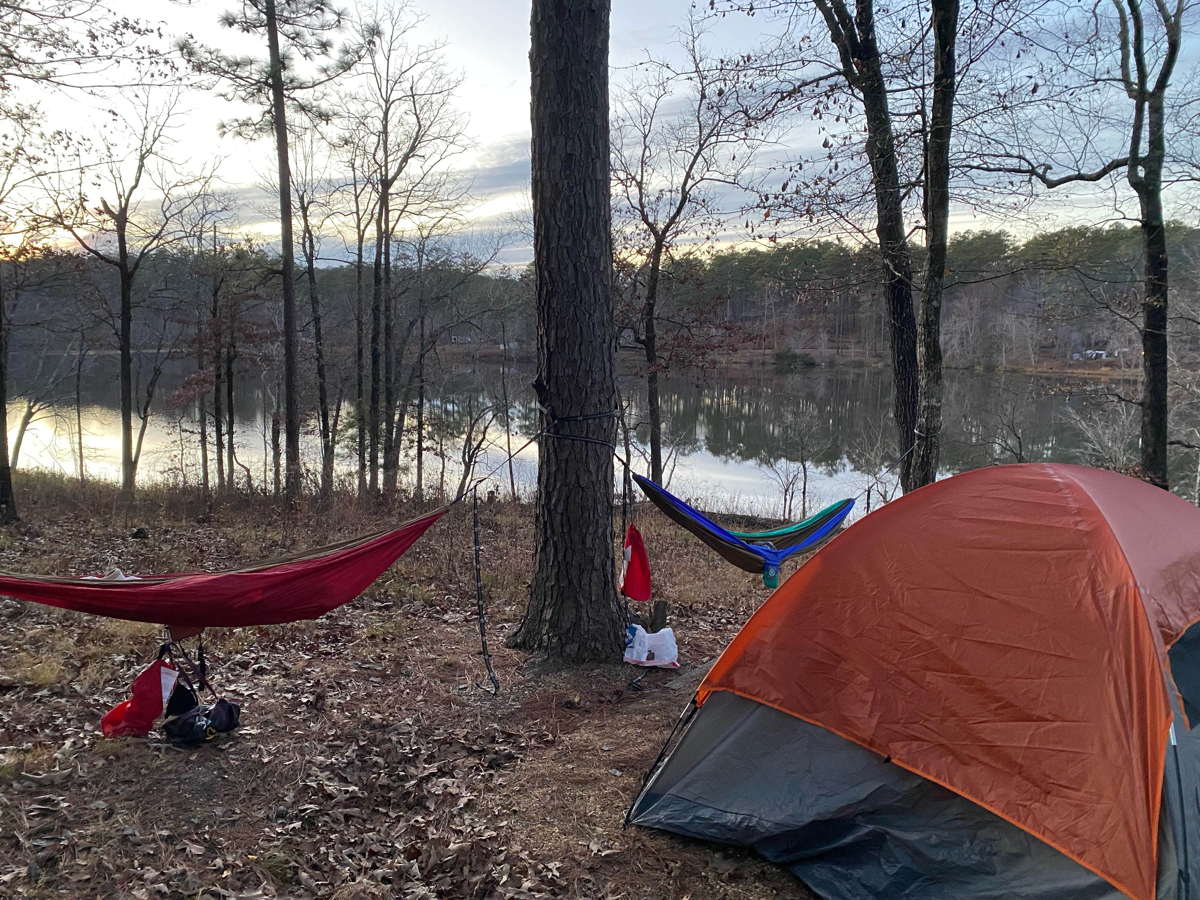 Ali Z.'s photo at Payne Lake East Side near Northport, AL
