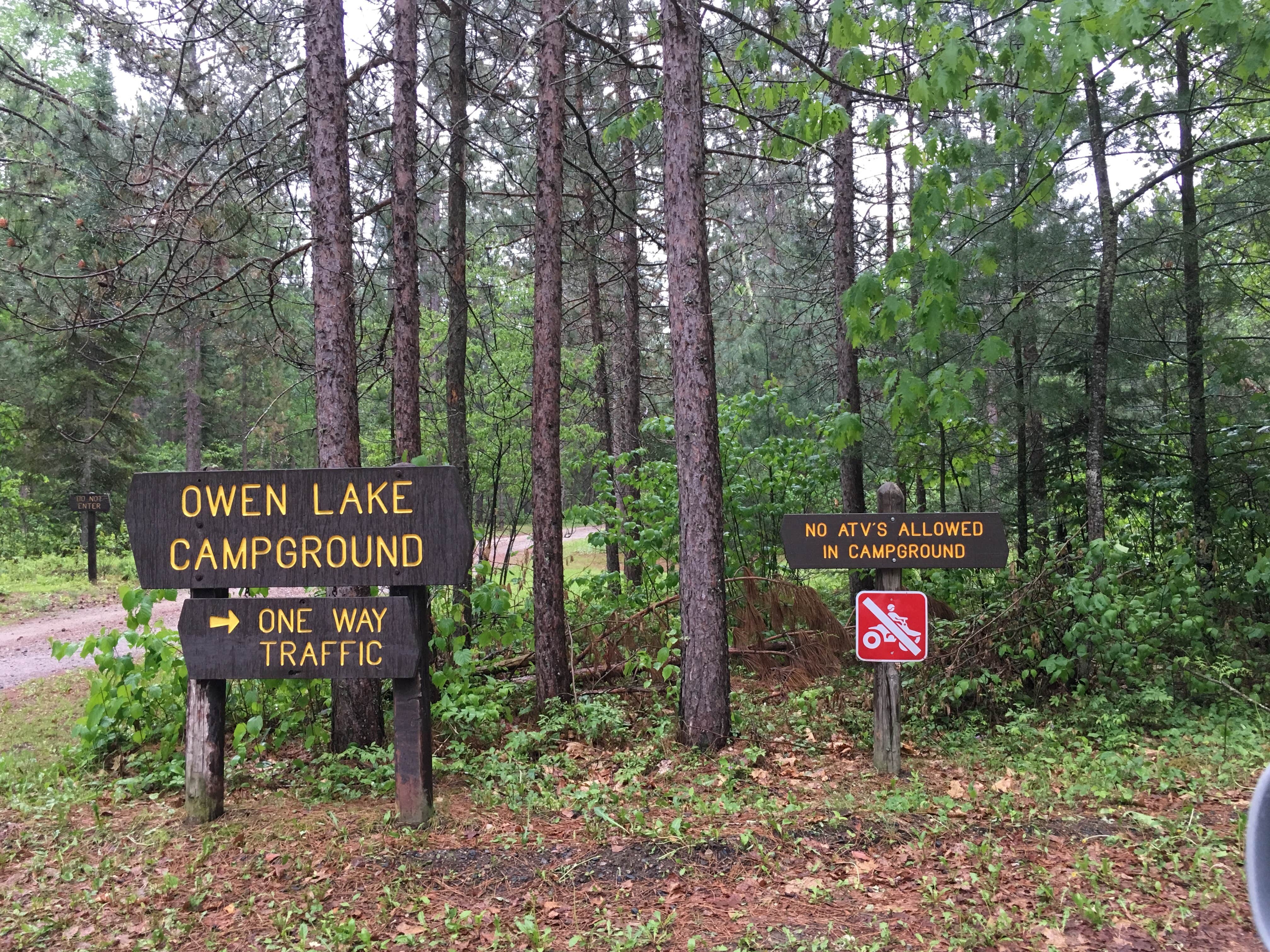 Camper submitted image from George Washington State Forest Owen Lake Campground - 4