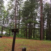 Review photo of George Washington State Forest Owen Lake Campground by Janet R., November 9, 2018