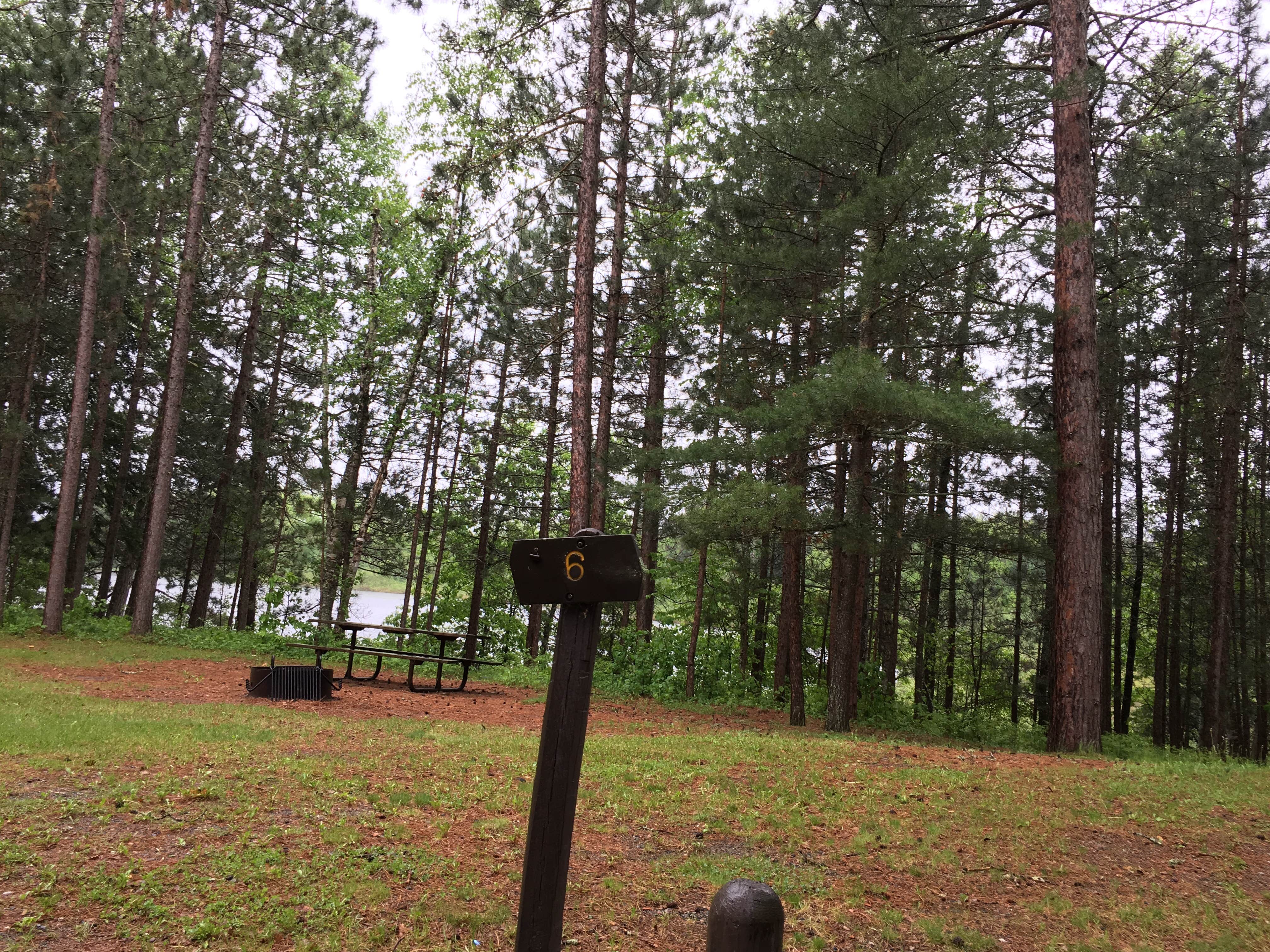 Camper submitted image from George Washington State Forest Owen Lake Campground - 2