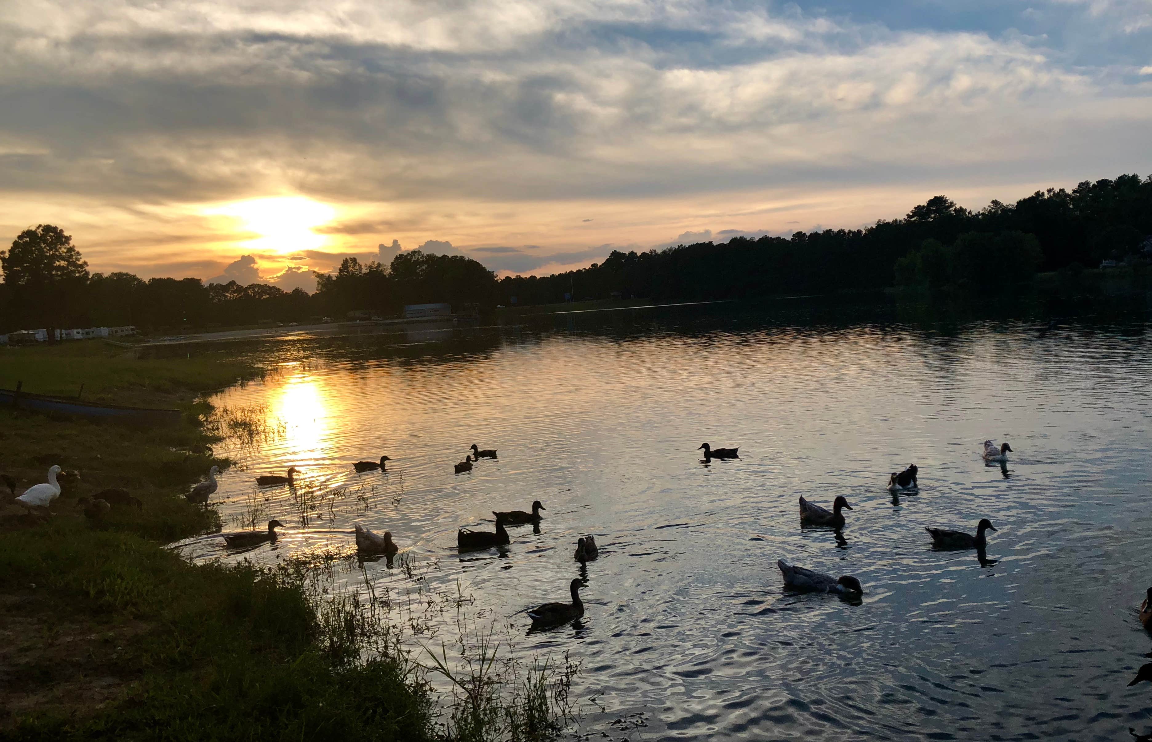 Camper submitted image from Lake Leamon Family Campground - 5